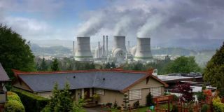 Założenie przez Monarch placówki w mieście Janira w Japonii sugeruje, że pojawiła się tu roślina, która pochłania energię nuklearną - to najprawdopodobniej nowa roślina, nie ta, którą widzieliśmy w filmie "Godzilla" z 2014 roku