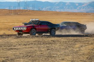 Bumblebee - zdjęcie