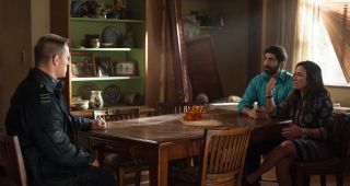 Bumblebee - zdjęcie