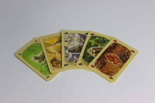Catan - gra planszowa