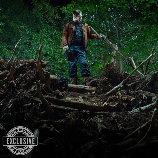 Smętarz dla zwierzaków - zdjęcie