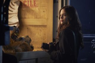 Titans: sezon 1, odcinek 8