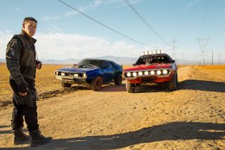 Bumblebee - zdjęcie