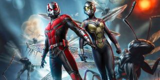 Oficjalna chronologia nie wyjawia nam roku, w którym rozgrywa się akcja Ant-Mana i Osy; choć Lang przebywa w nim areszcie po działaniu ukazanym w Wojnie bohaterów (2016), film kończy się nawiązaniem do pstryknięcia Thanosa (2017)