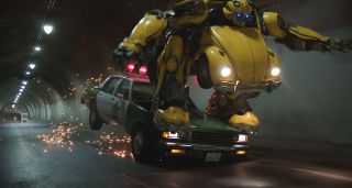 Bumblebee - zdjęcie