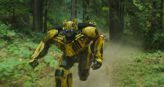Bumblebee - zdjęcie