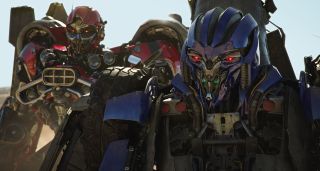 Bumblebee - zdjęcie