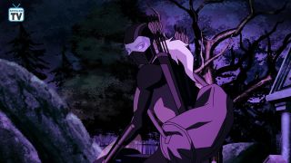 Young Justice: Outsiders - zdjęcie