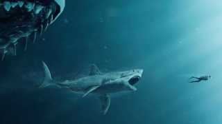 10. The Meg