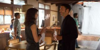 Bumblebee - zdjęcie