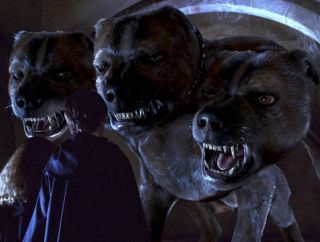 Puszek - Trójgłowy pies