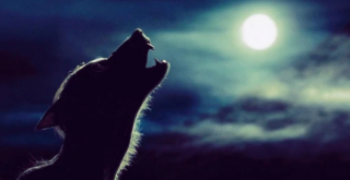 Lupin jako wilkołak