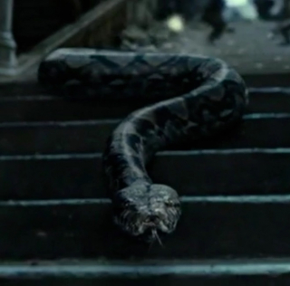 Nagini