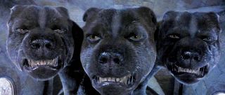 Puszek - Trójgłowy pies