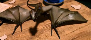 Norbert - norweski smok kolczasty