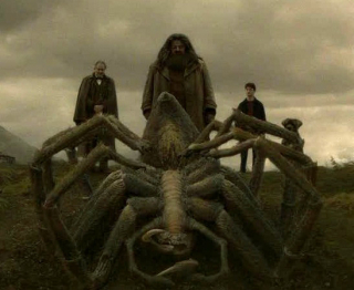 Martwy Aragog