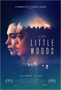 Little Woods - plakat