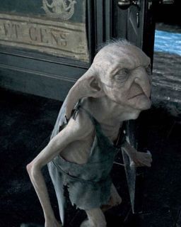 Skrzat domowy Stworek