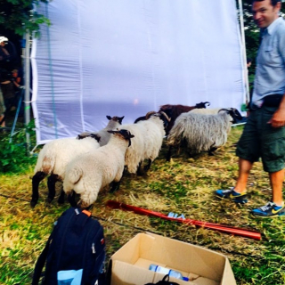 Wikingowie - zdjęcia z planu