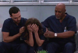 Chirurdzy: sezon 15, odcinek 10