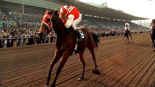 Niepokonany Seabiscuit - nominacja w 2003 roku