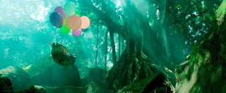 Robaczki z Zaginionej Dżungli - zdjęcie