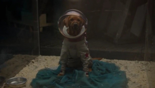 Cosmo - pokazany na krótko w "Strażnikach Galaktyki" pies, który w komiksach był członkiem drużyny; potrafi m.in.... płynnie mówić po rosyjsku