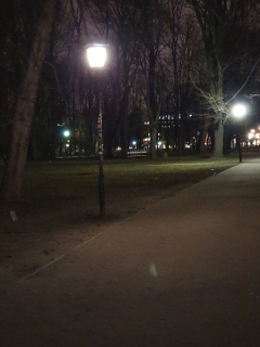 Samsung Galaxy S10+ nocą