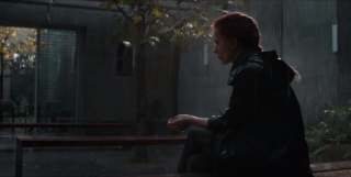 Na poniższym ujęciu Czarna Wdowa znajduje się już najprawdopodobniej w Japonii (w sieci pojawiły się nawet teorie analizujące ukazaną w tle roślinność, typową dla Kraju Kwitnącej Wiśni), gdzie jej zadaniem jest odnalezienia Clinta.