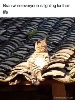 Gra o tron s08e03 - memy