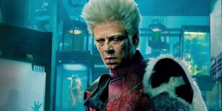 Kolekcjoner - pojawia się w spekulacjach