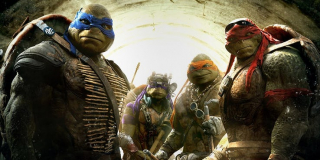 Wojownicze Żółwie Ninja – 22%