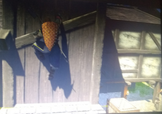 Screeny, które rzekomo pochodziły z Assassin's Creed: Ragnarok