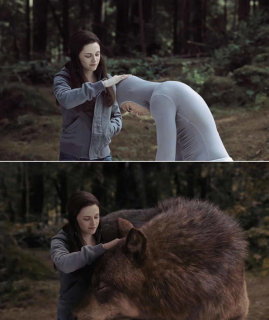 Saga Zmierzch: Księżyc w nowiu