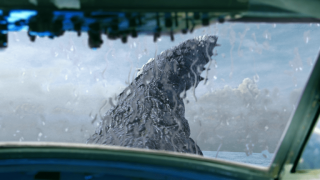 Monster Island - zdjęcie