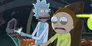 Jedna z najpopularniejszych teorii mówi, że Zły Morty to.. oryginalny Morty Ricka. Fani doszukują się wskazówek na ten temat w pewnych odcinkach, jednak w żaden sposób nie zostało to potwierdzone przez twórców.