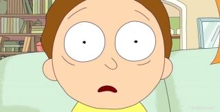 Niektórzy uważają, że Zły Morty to tak naprawdę... pozytywny bohater. Istnieje teoria, według której Rick jest antagonistą serialu, a Zły Morty zamierza położyć jemu kres, czego początkiem ma być przejęcie kontroli nad Cytadelą Ricków.