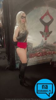 Warsaw Comic Con V