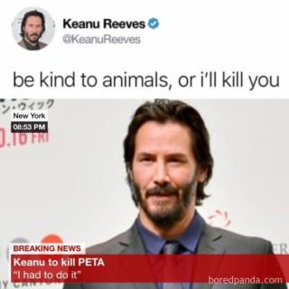 Keanu Reeves memy