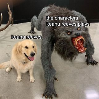 Keanu Reeves memy
