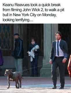 Keanu Reeves memy