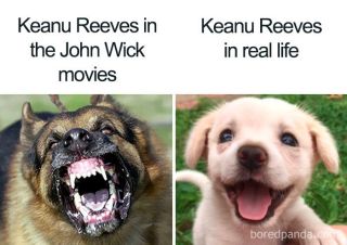 Keanu Reeves memy