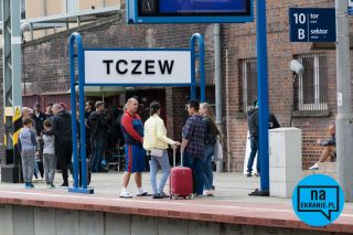 Futro z misia - zdjęcie