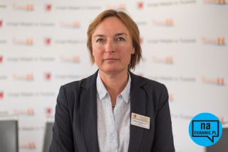 Futro z misia - zdjęcie