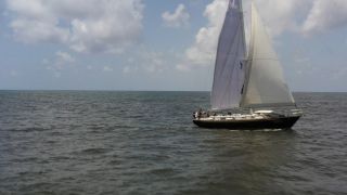 Capsized: Blood in the Water