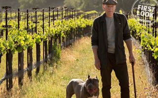 Star Trek: Picard