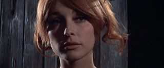 Sharon Tate - Nieustraszeni pogromcy wampirów