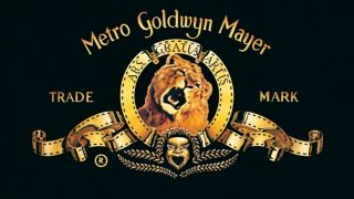 MGM Holdings – przychód za 2017: 1,3 mld USD; dochód operacyjny za 2017: 238 mln USD; suma aktywów w 2017: 4,2 mld USD; udział w rynku w 2018: 1,4%. 