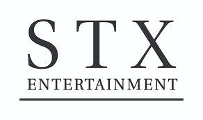 STX Entertainment – brak danych za zeszły rok; przychód za rok 2018 wyniósł 201 mld USD, przy czym firma zaliczyła jednocześnie stratę w wysokości kilkunastu mld USD; udział STX Film w rynku: 2,3%. 