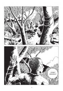 Angola Janga - plansza